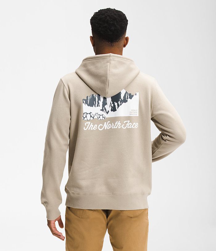 Sudadera Con Capucha The North Face Hombre Beige Mountain Scene Pullover 93206KRNP